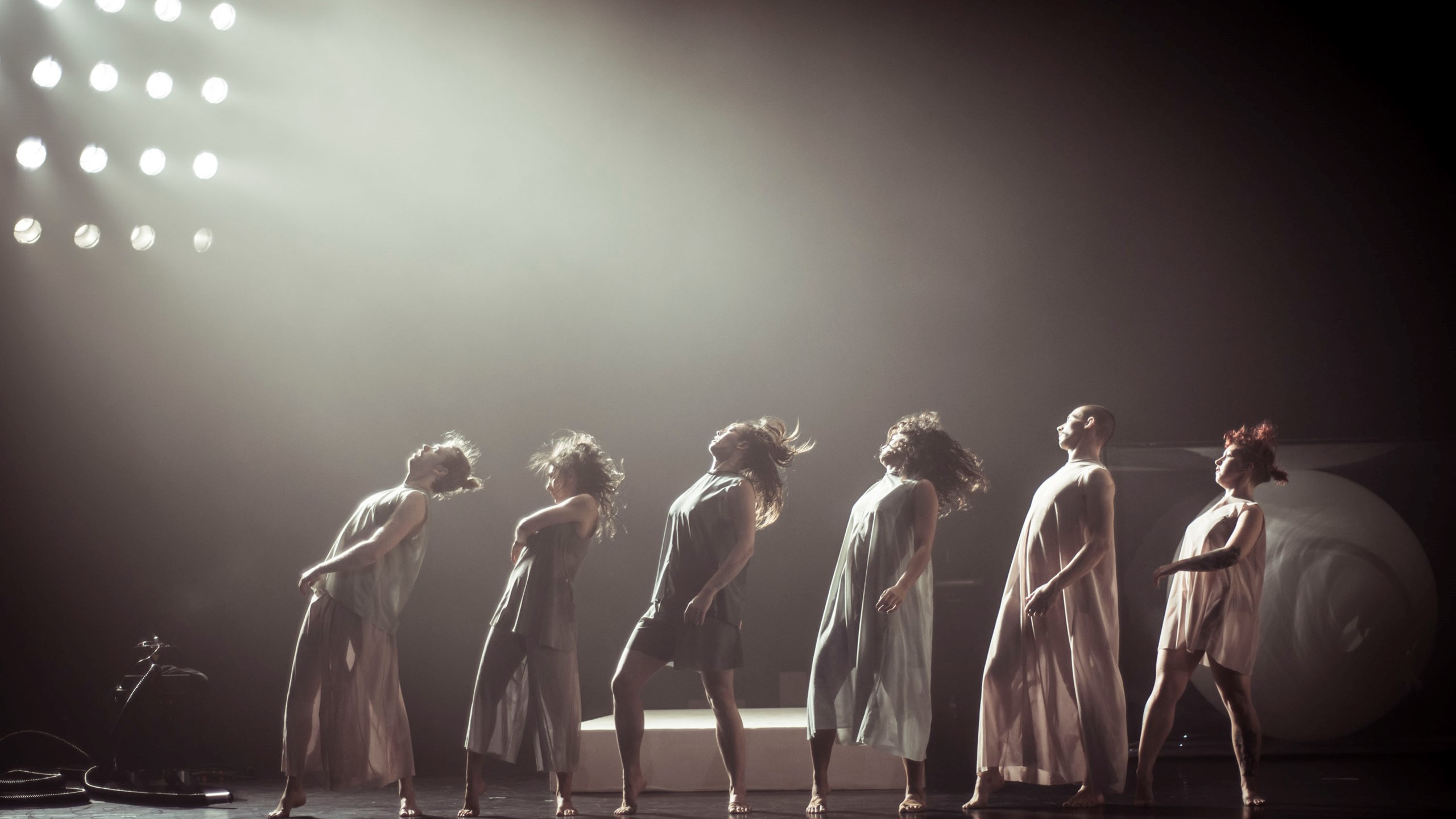 Anti–Gravity (2017)