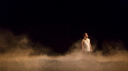 The Real and Imagined History of the Elephant Man (2017), Daniel Monks. Photographer: Pia Johnson